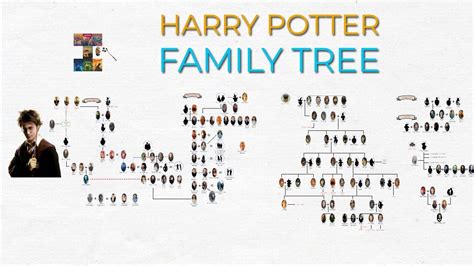 family tree of harry potter|harry potter adoptive parents.